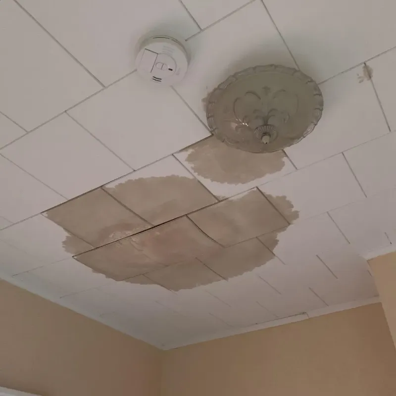 Ceiling Water Damage Repair in Norwood, PA