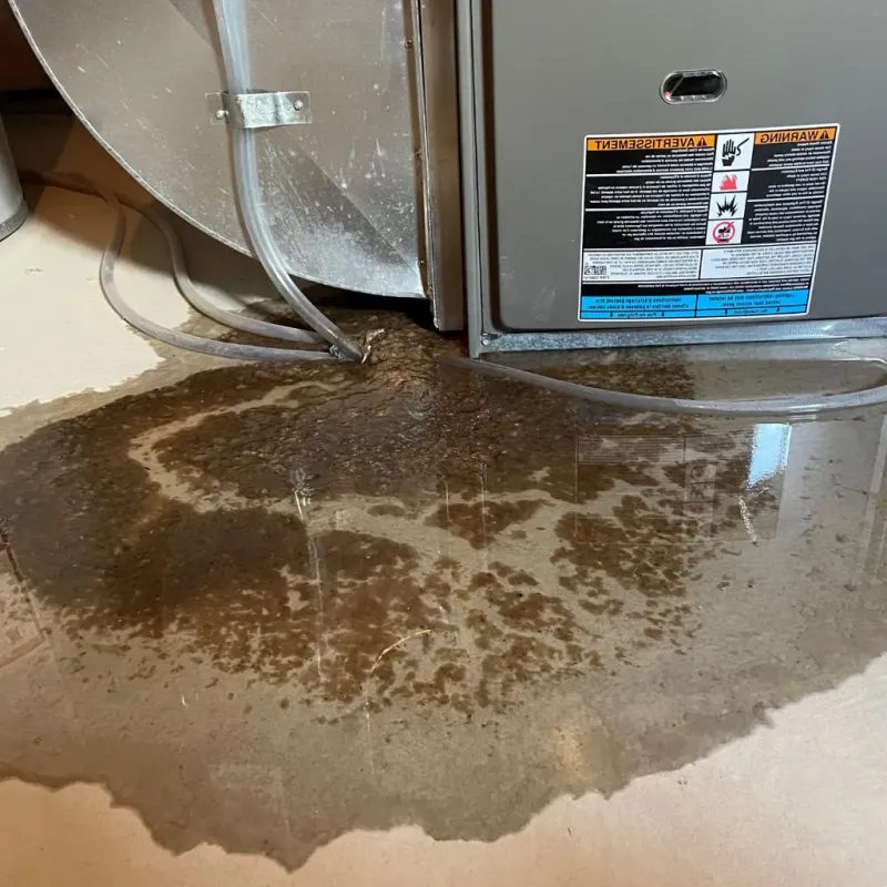 Pipe Burst and Leak Restoration in Norwood, PA